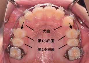 イメージがありません