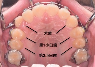 イメージがありません