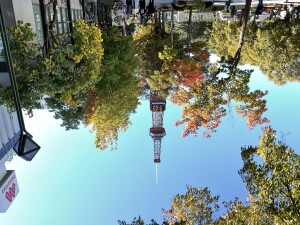 IMG_5054